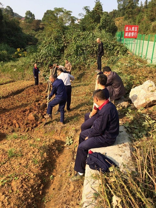 自耕自種，豐富職工業(yè)余生活